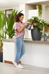 brussels sprayer 0,7ltr anthracite